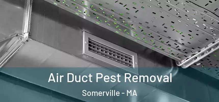 Air Duct Pest Removal Somerville - MA