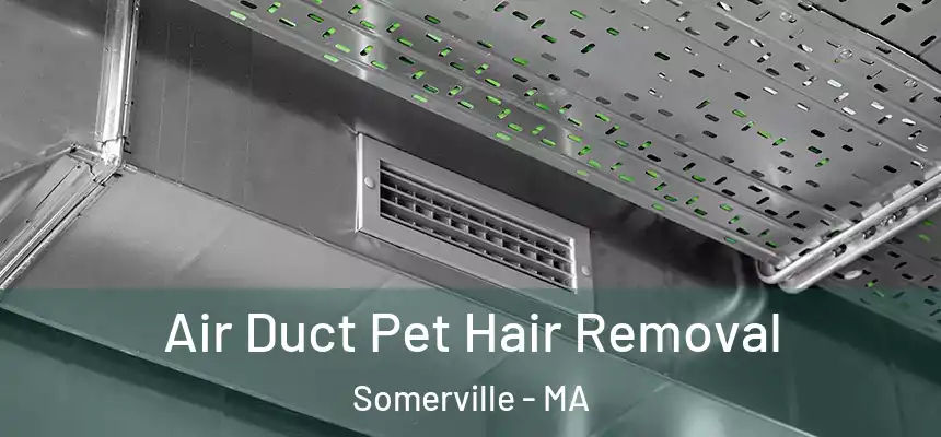 Air Duct Pet Hair Removal Somerville - MA