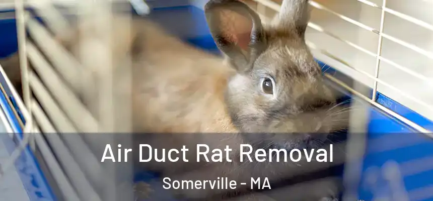Air Duct Rat Removal Somerville - MA