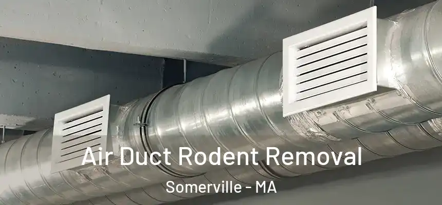  Air Duct Rodent Removal Somerville - MA