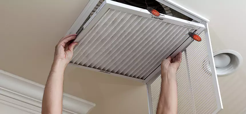 Preventive Cockroach-Proofing for Ducts in Somerville