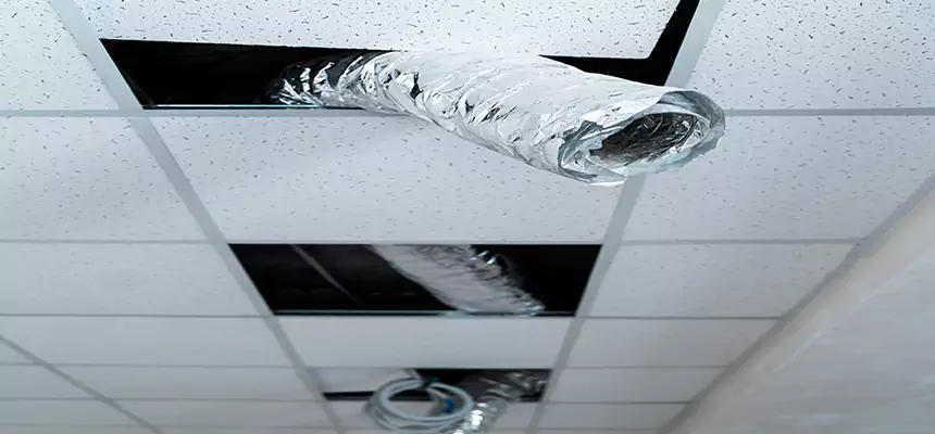 Our Air Duct Pet Hair Removal Services in Somerville, MA