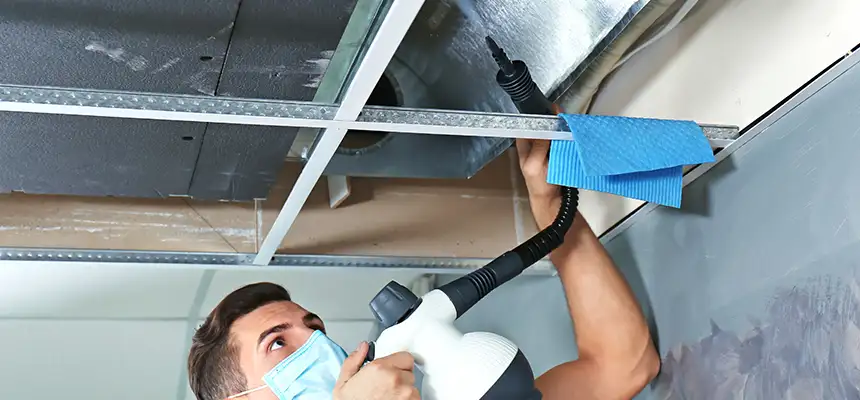 Our Air Duct Rodent Removal Services in Somerville, MA