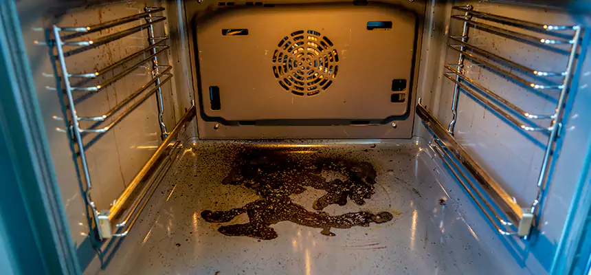 Our Dryer Vent Mold Cleaning Services in Somerville, MA