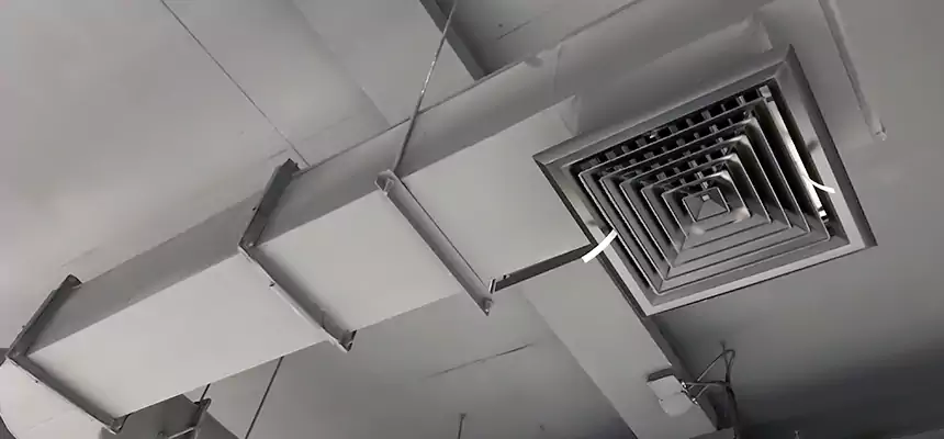 Our Pest Removal From Ducts Services in Somerville, MA