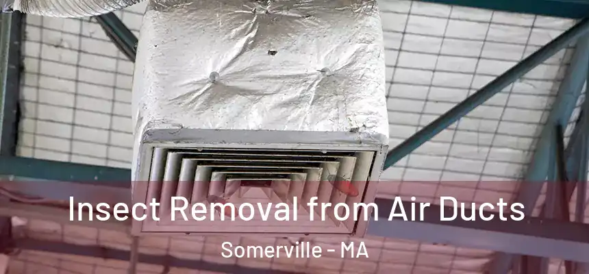  Insect Removal from Air Ducts Somerville - MA