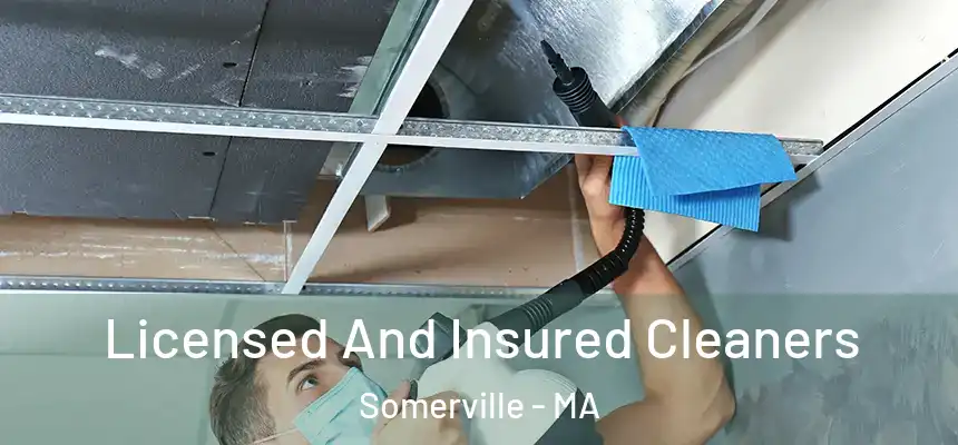  Licensed And Insured Cleaners Somerville - MA