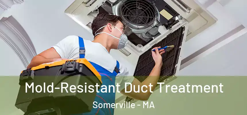  Mold-Resistant Duct Treatment Somerville - MA