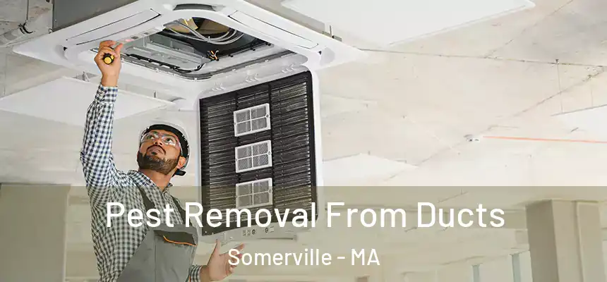 Pest Removal From Ducts Somerville - MA