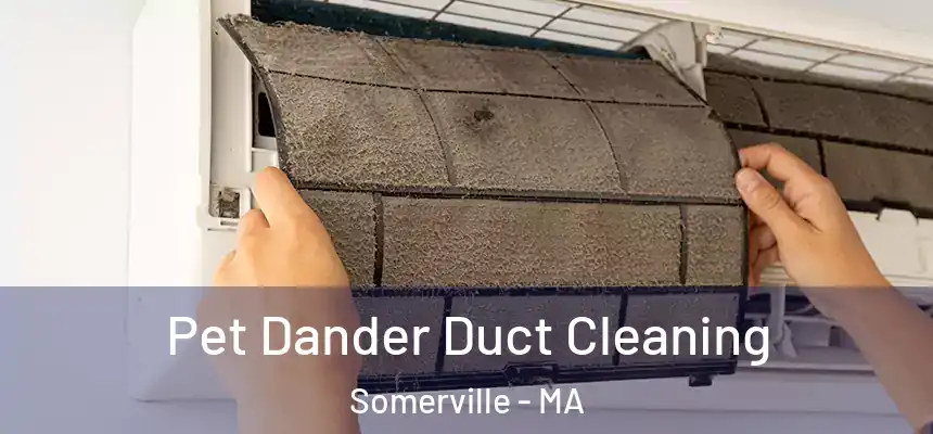  Pet Dander Duct Cleaning Somerville - MA