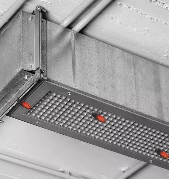 About Air Duct Cockroach Removal in Somerville, MA