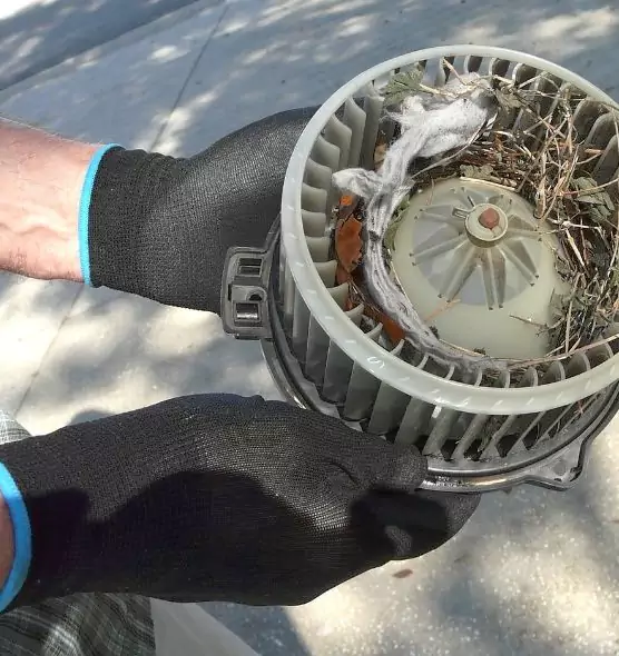 About Air Duct Mice Removal in Somerville, MA