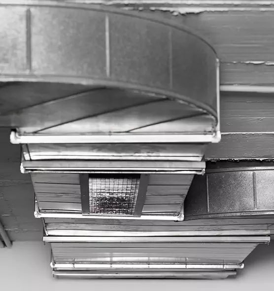 Professional Air Duct Pest Removal in Somerville, MA