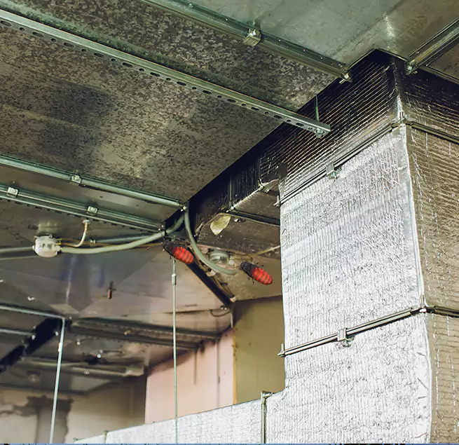 Why Homeowners & Businesses Trust Us in Somerville, MA?