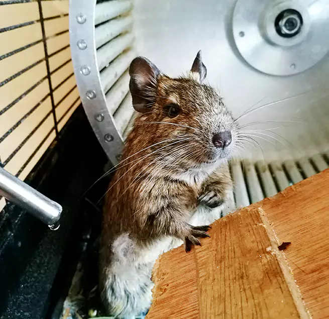 Why Homeowners & Businesses Trust Us Somerville, MA?