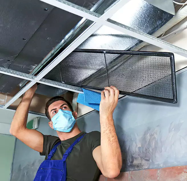 Why Homeowners Businesses Trust Us in Somerville, MA