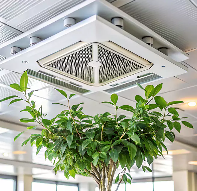 Why Homeowners & Businesses Trust Us in Somerville, MA?