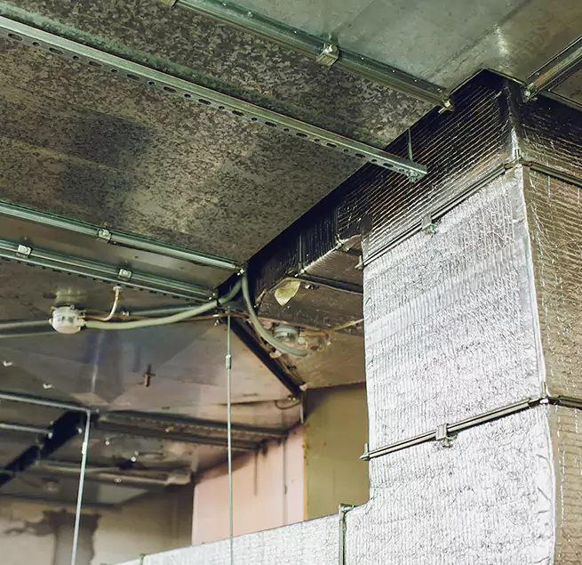 Why Homeowners & Businesses Trust Us in Somerville, MA?